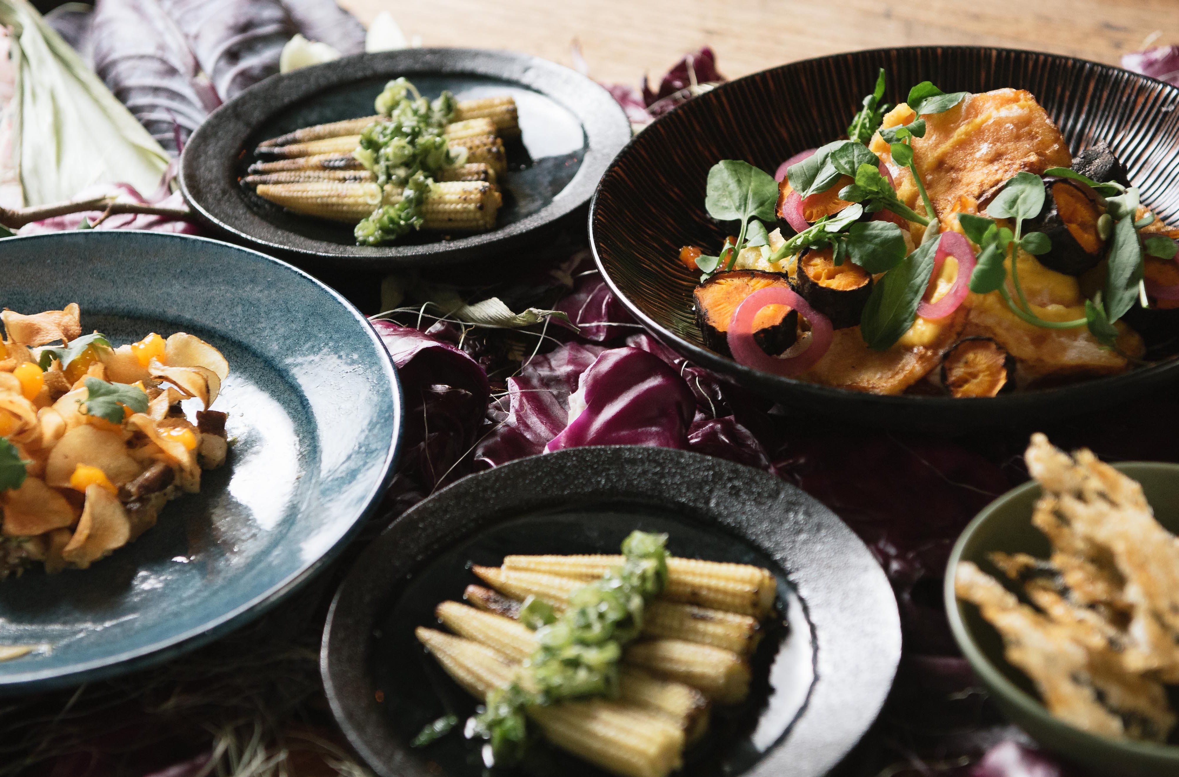 Sally's Vegetarian Garden Party Round Two